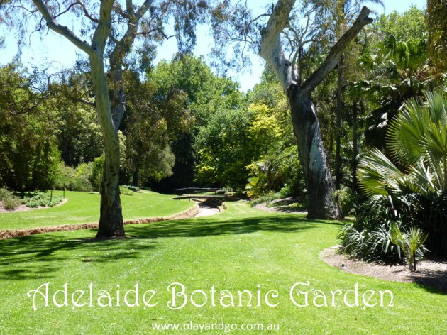 botanic garden Adelaide Botanic Gardens