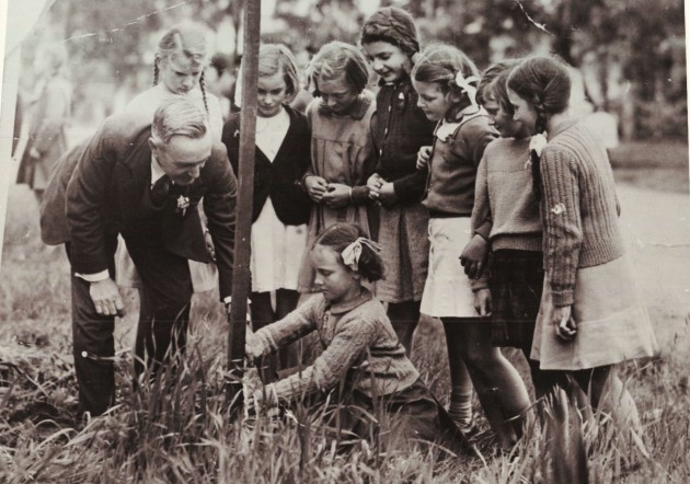 circa 1950s Tree planting Brighton Parade
