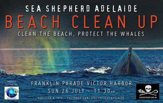 BeachClean-VH-july2015