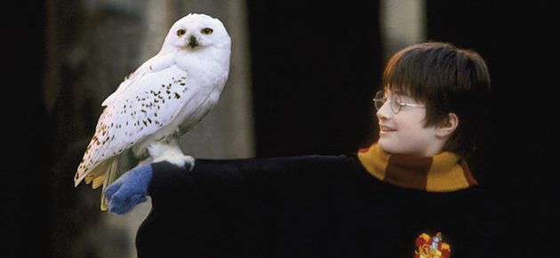 Harry Potter and the Philosopher's Stone in Concert