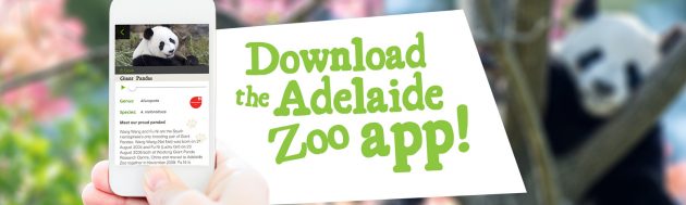 download the Adelaide Zoo App
