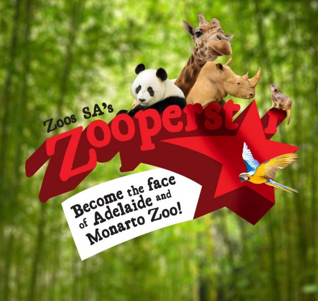 Zoos SA's Zooperstar Competition: Become the face of Adelaide Zoo and Monarto Zoo