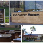 SA Museum