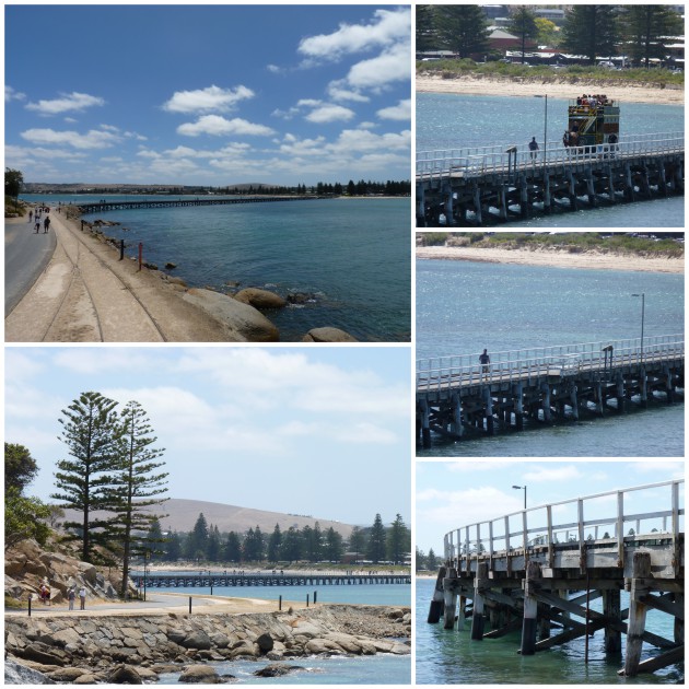 Horse Drawn Tram at Victor Harbor | Step Back In Time