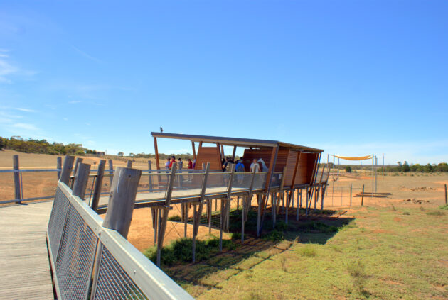 Monarto Zoo viewing platforms