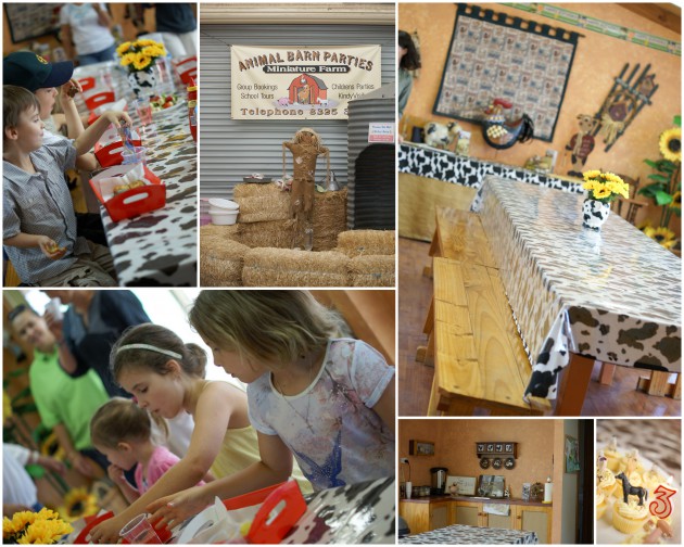 An Animal Barn Birthday Party What S On For Adelaide Families Kidswhat S On For Adelaide Families Kids