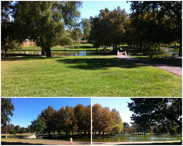 rymill park boat shed and kiosk adelaide park lands