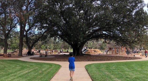 marshmallow park adelaide