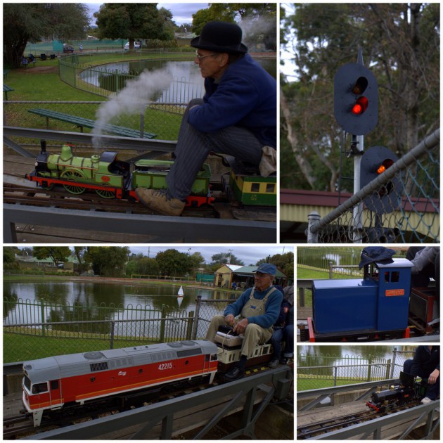 SASMEE Miniature Train Rides 