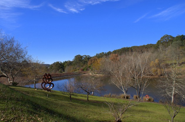 Mt Lofty Botanic 5