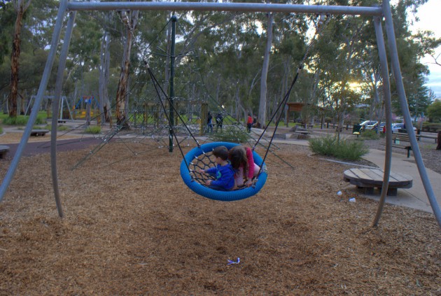Hazelwood Park Playground basket swing