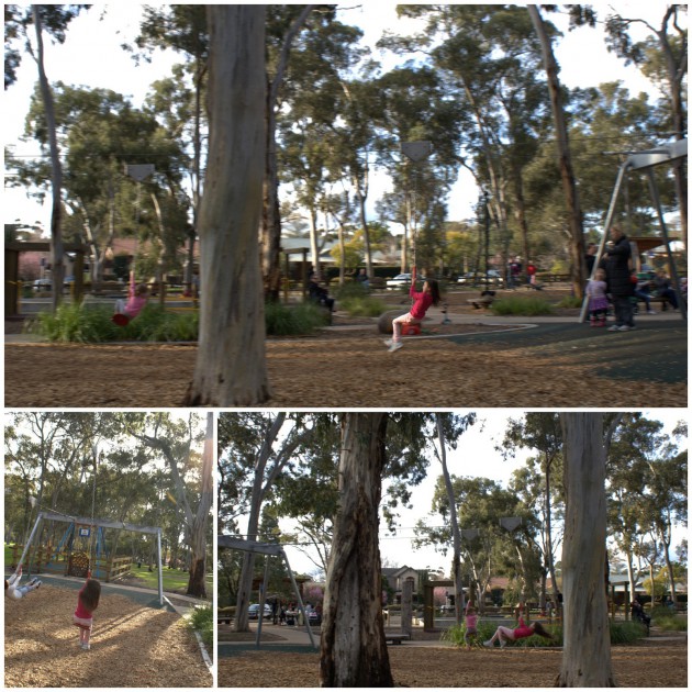 Hazelwood Park Playground flying fox