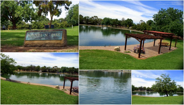 2012-11-25 Bonython Park Duck Pond