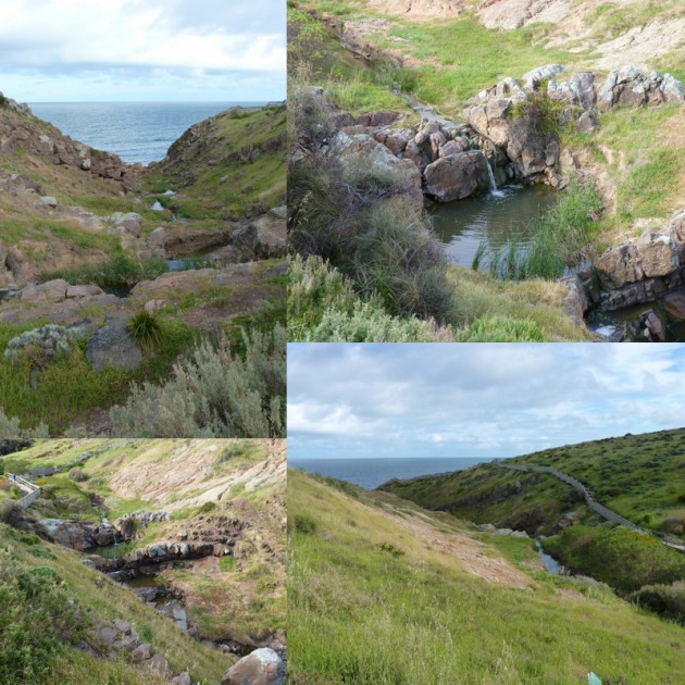 Hallett Cove Conservation Park