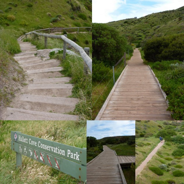 Hallett Cove Conservation Park