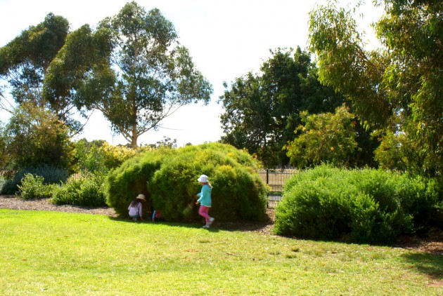 helicopter park bushes