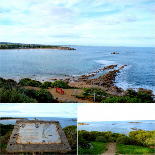 Big Rocks Beach Cliff Walk Trees To Climb Whales Glorious Views All From Horseshoe Bay Port Elliot What S On For Adelaide Families Kidswhat S On For Adelaide Families Kids