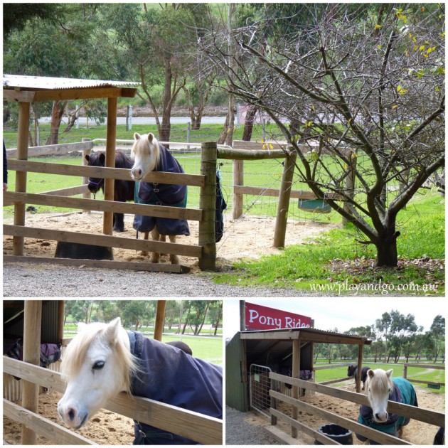 Hahndorf Farm Barn | Children's Farmyard & Wildlife Park - What's on ...