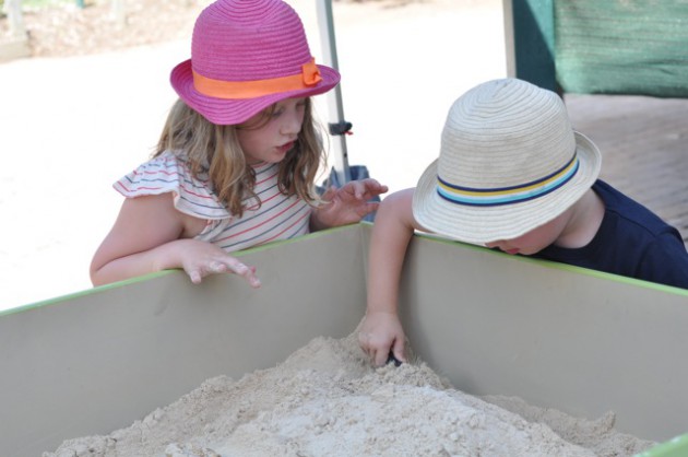 dinosaurs at the zoo sand box