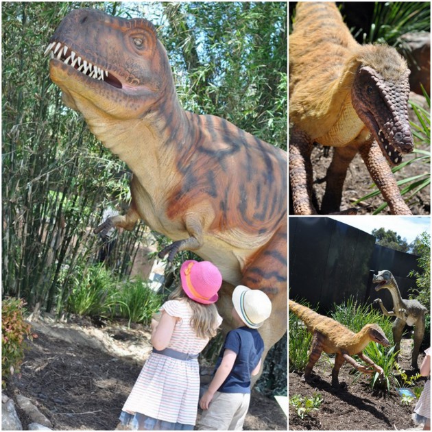 Dinosaur at Zoo photos collage