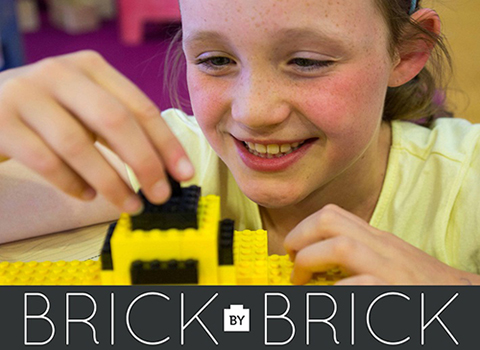 Brick_by_Brick-2014