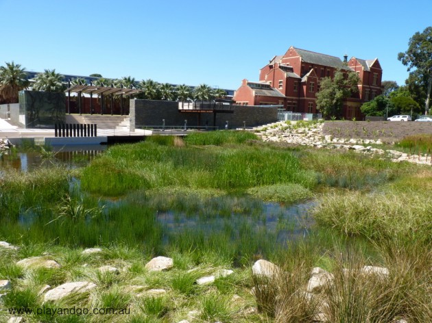 First Creek Wetland