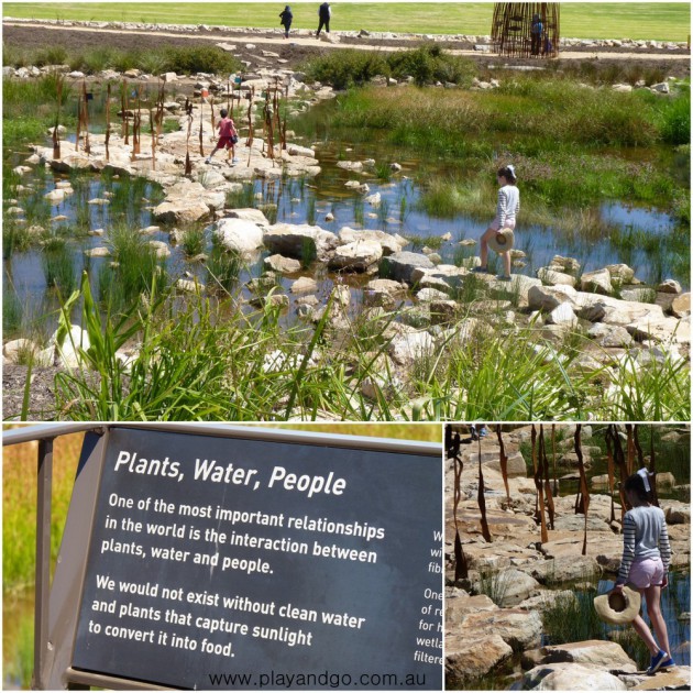 First Creek Wetland