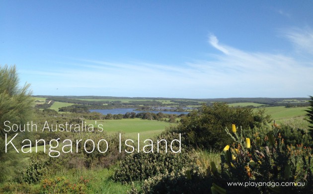 Kangaroo Island Holiday with Kids