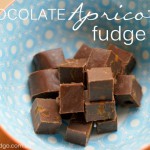 chocolate apricot fudge recipe