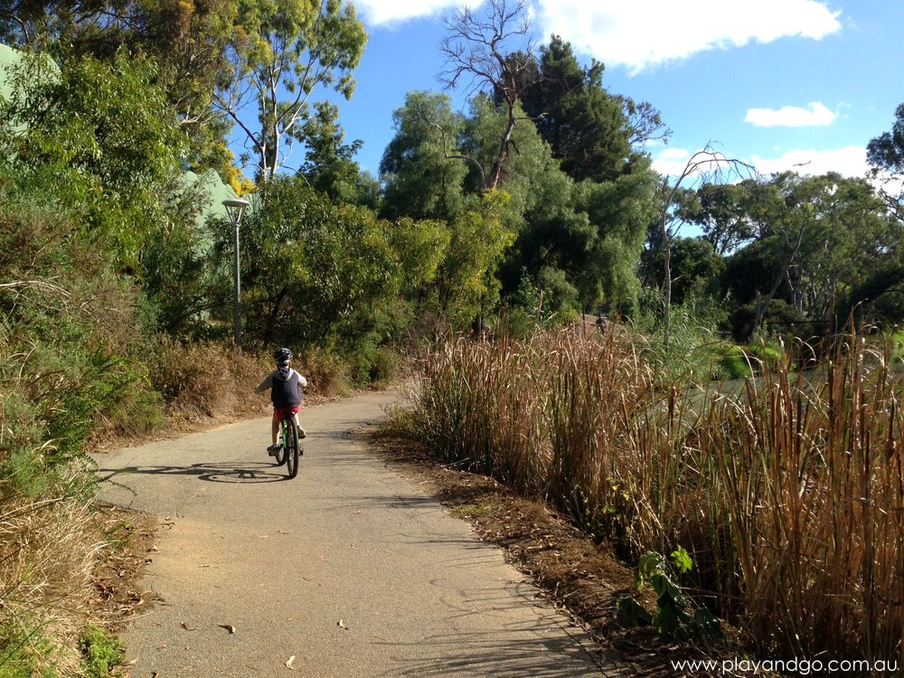 River Torrens Linear Park Bike Ride | A Leisurely Trail - Play & Go ...