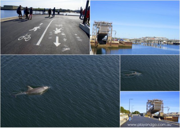 Harts Mill Playground Pt Adelaide collage (5)