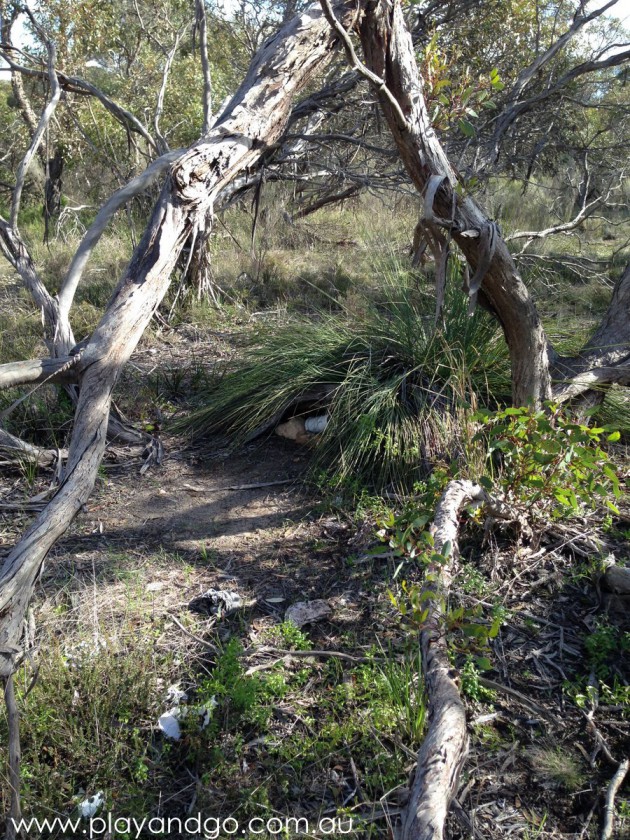 geocache find july2014a