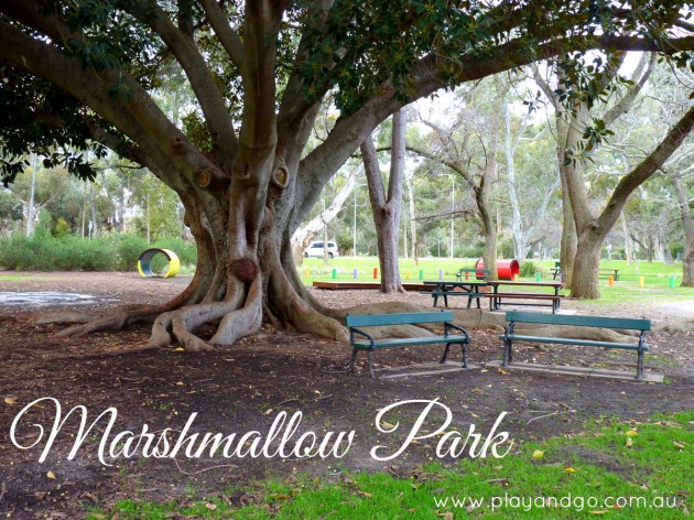 Why we love living in Adelaide - Parks