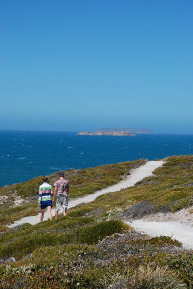 innes np stenhouse