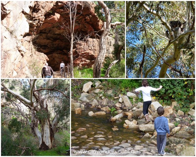 Morialta Falls Collage