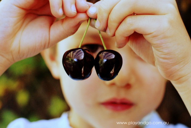 cherries in the hand