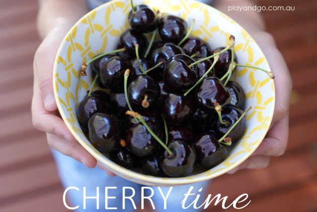 Pick Your Own Cherries - Cherry Orchards South Australia