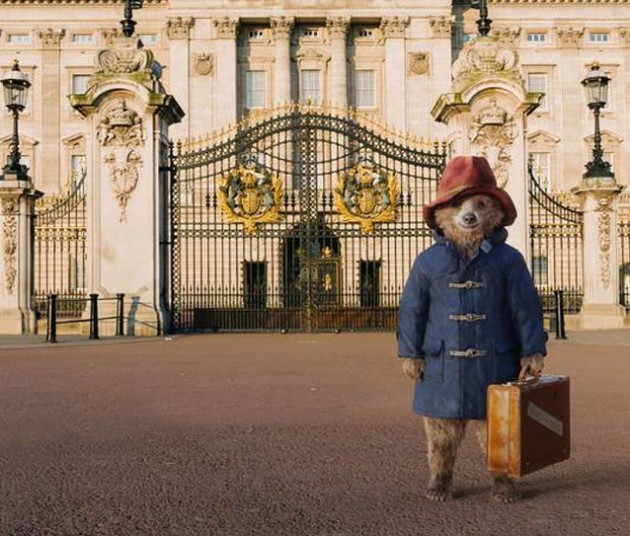 paddington-bear