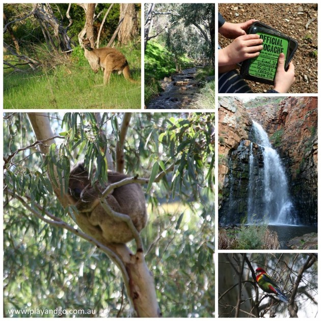 Morialta Conservation Park Review