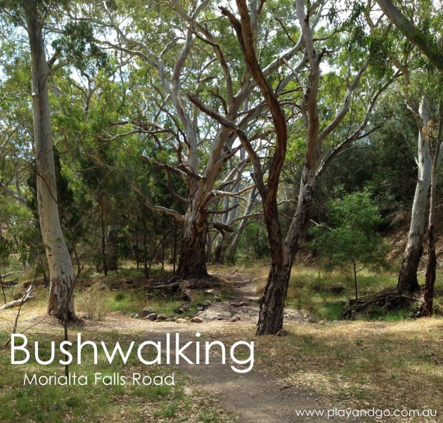 Morialta Conservation Park Review