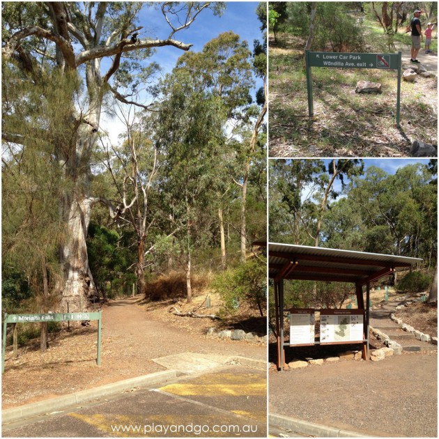 Morialta Conservation Park Review