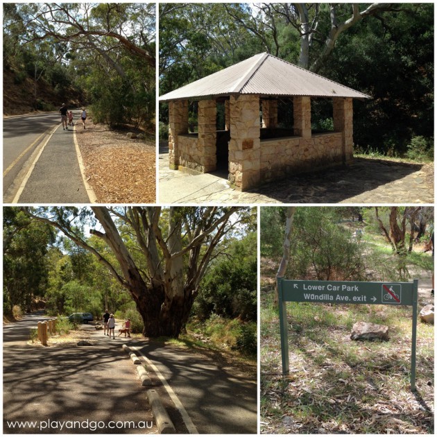 Morialta Conservation Park Review