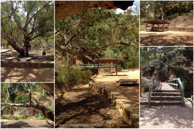 Morialta Conservation Park Review