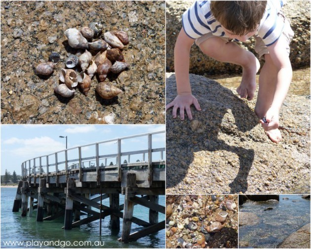 granite-shells-collage