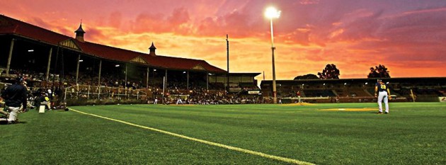 adelaide-bite-oval