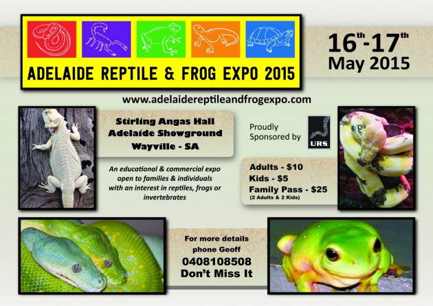 lizard expo near me