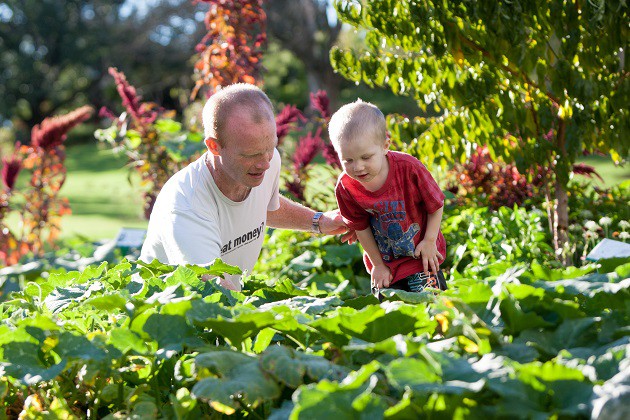 walyo_yerta_12_026 nature play