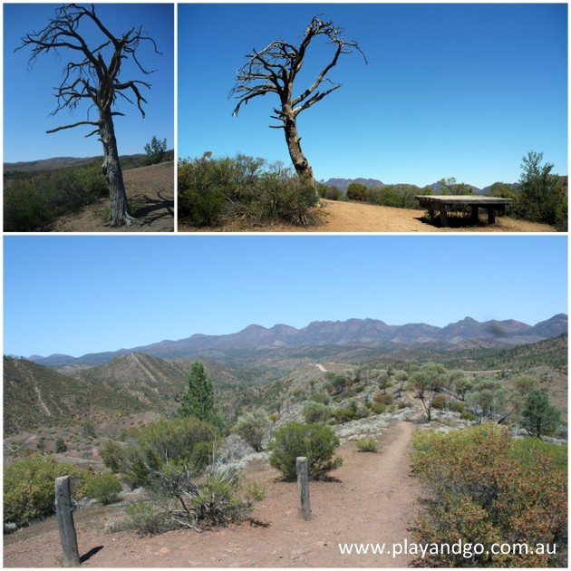 Flinders Ranges