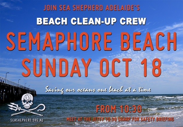 BEACH CLEAN_OCT_630