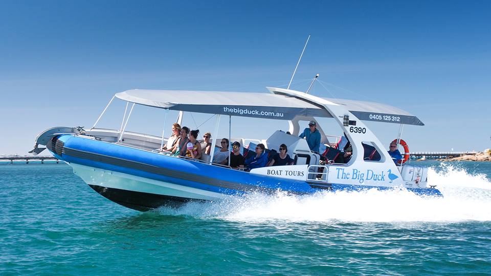 big duck boat tour victor harbour